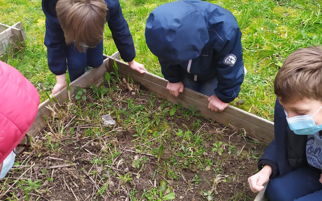 Les CE1 découvrent les petites bêtes du jardin