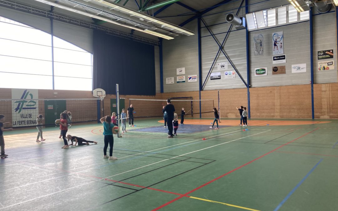 Cycle Volley en CE1-CE2