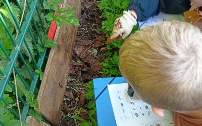 Atelier nature en CP-CE1 (épisode 4)