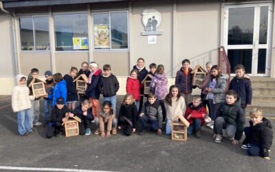 Fabrication d&rsquo;hôtels pour les insectes
